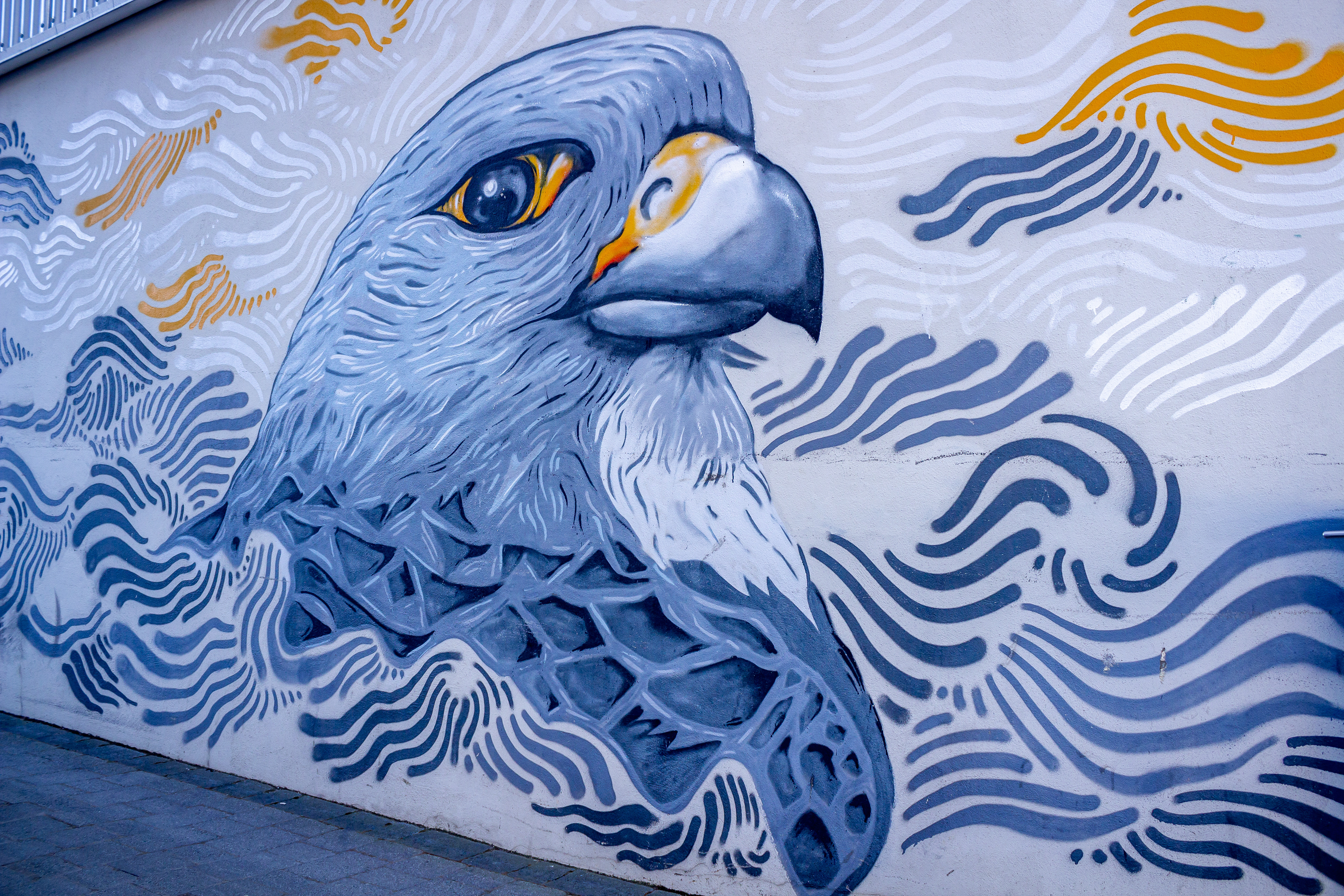 @ Reykjavik / Iceland