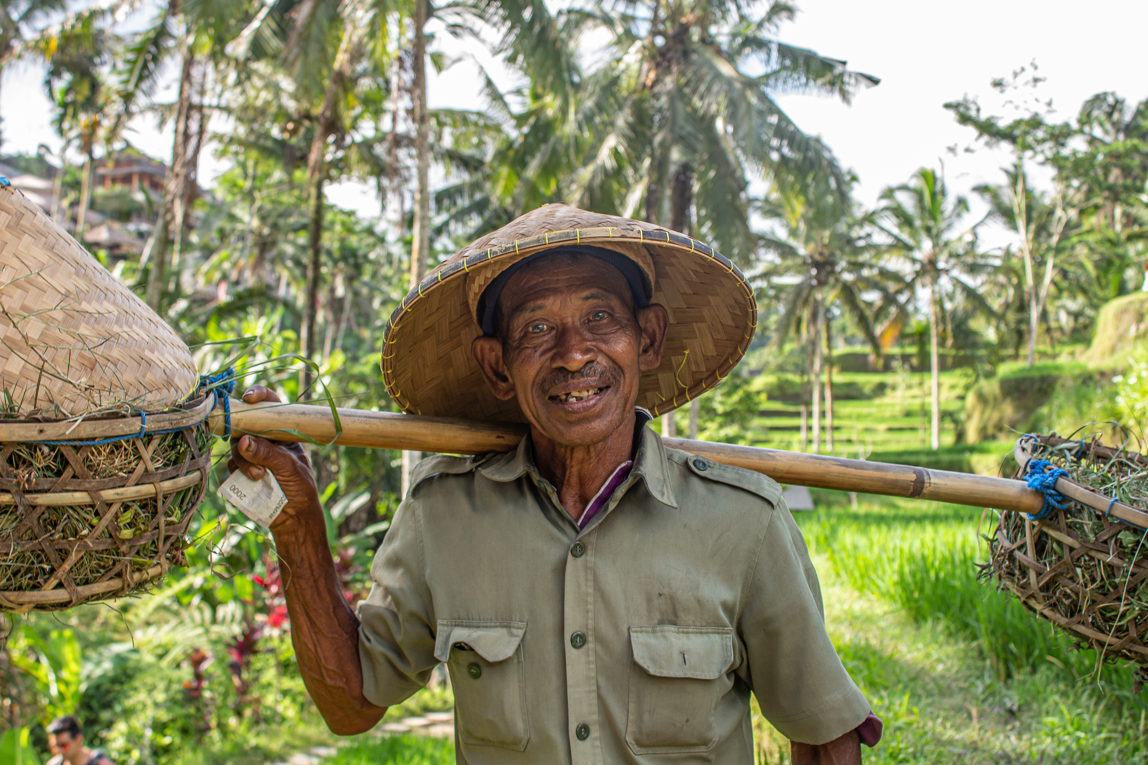 @ Tegallalang rice fields - Bali / Indonesia