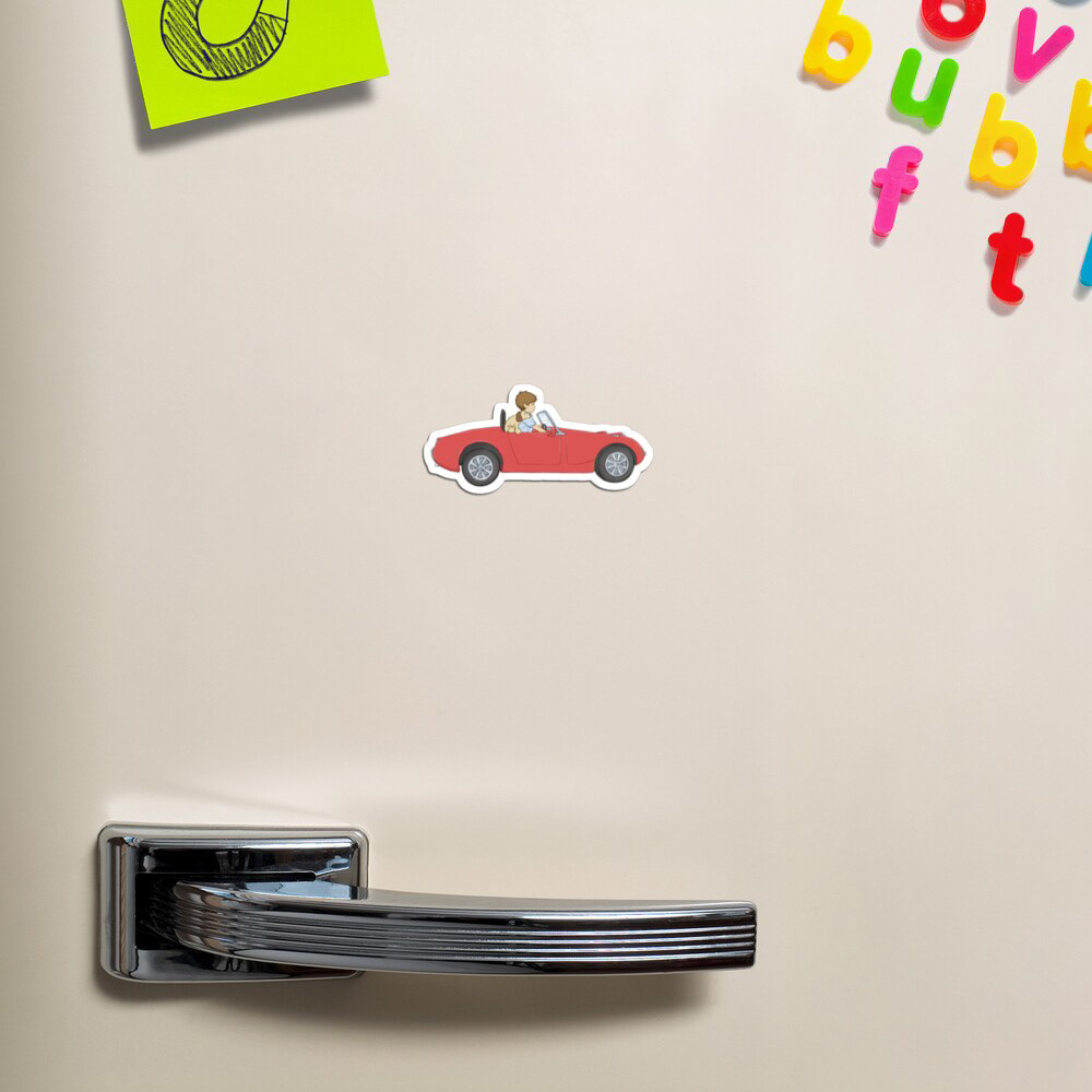 Magnet