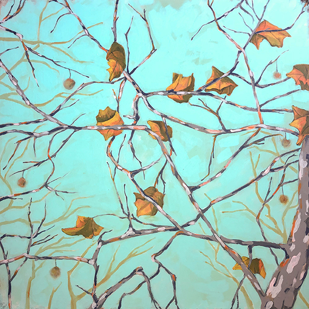Sycamore 2 - 24" x 24" (Sold)