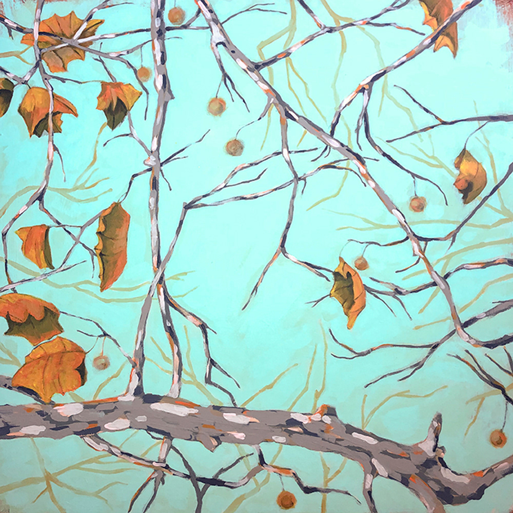 Sycamore 3 - 24" x 24" (Sold)