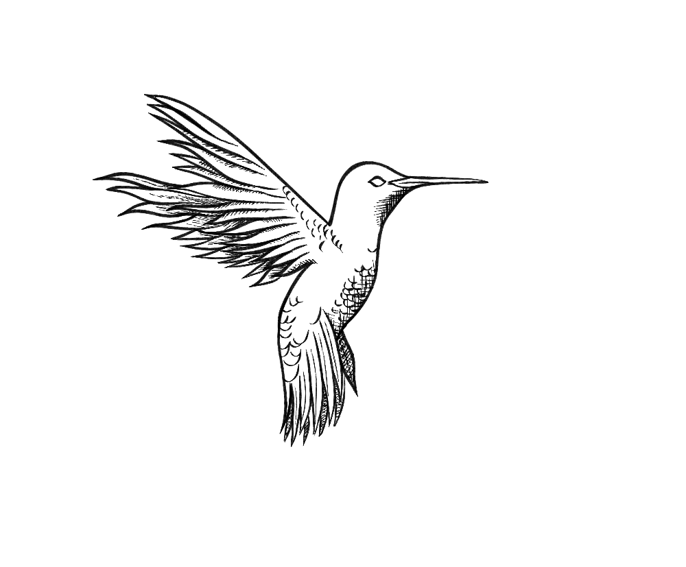 Hummingbird
