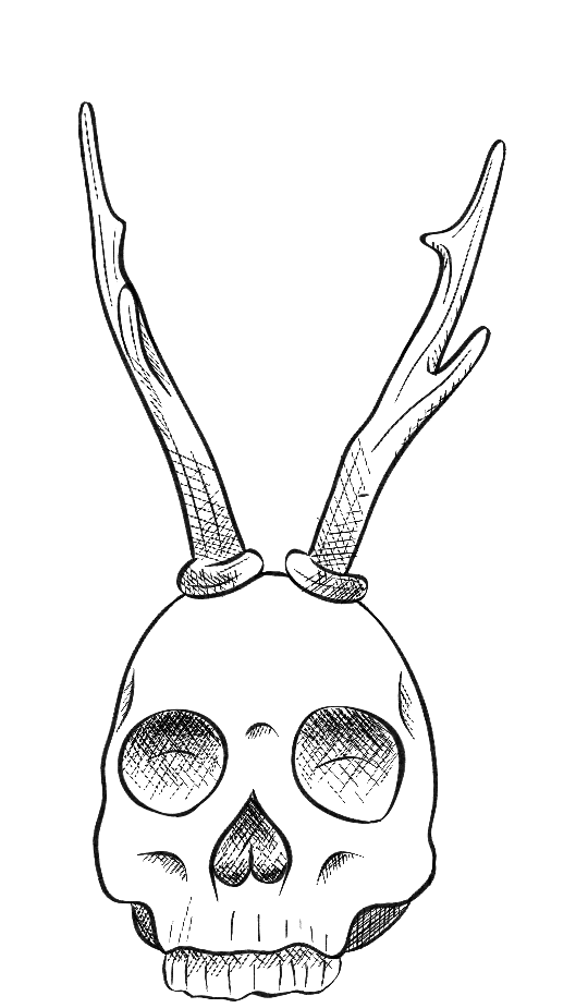 Skull