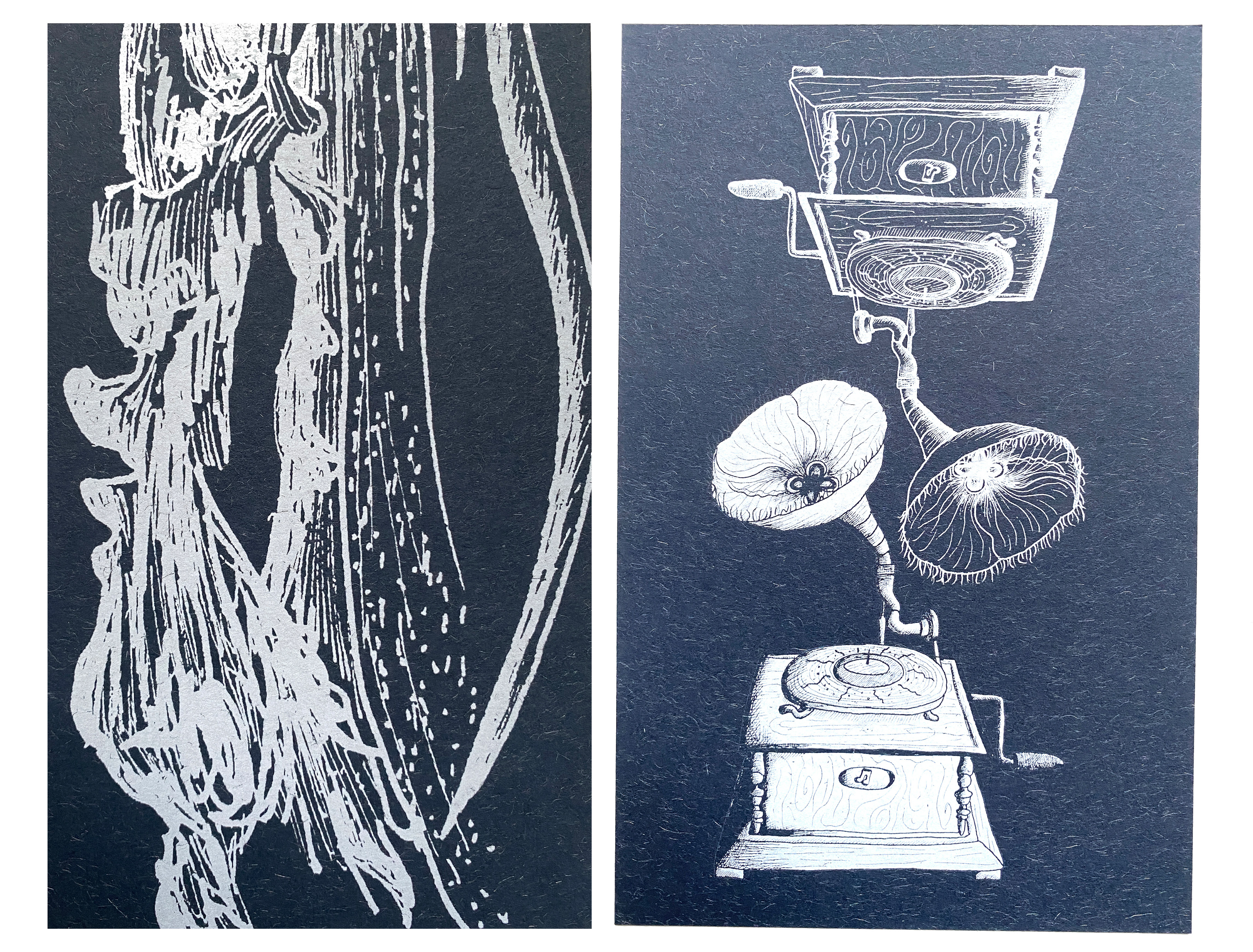Illustraties 3