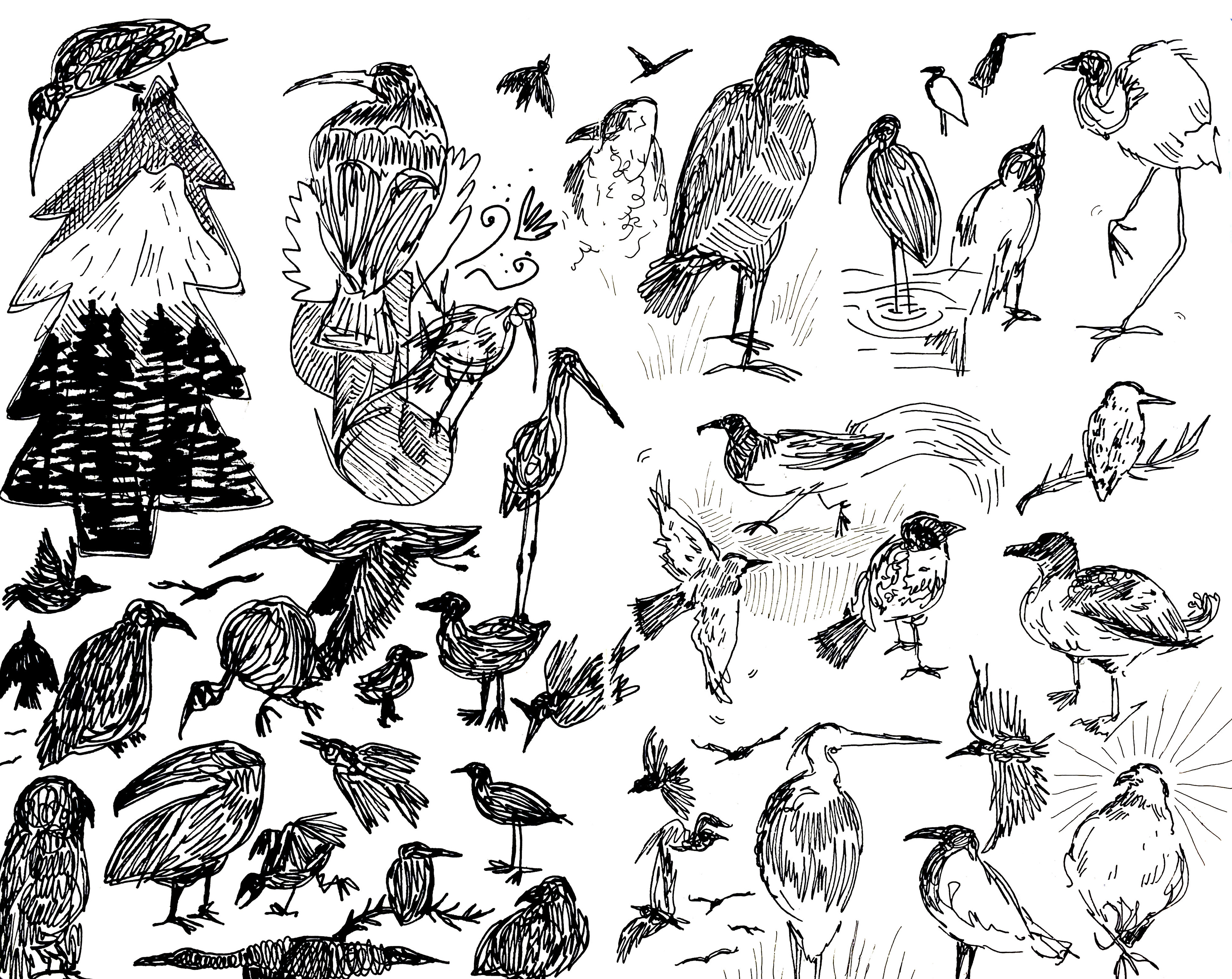 Vogel droedels 2