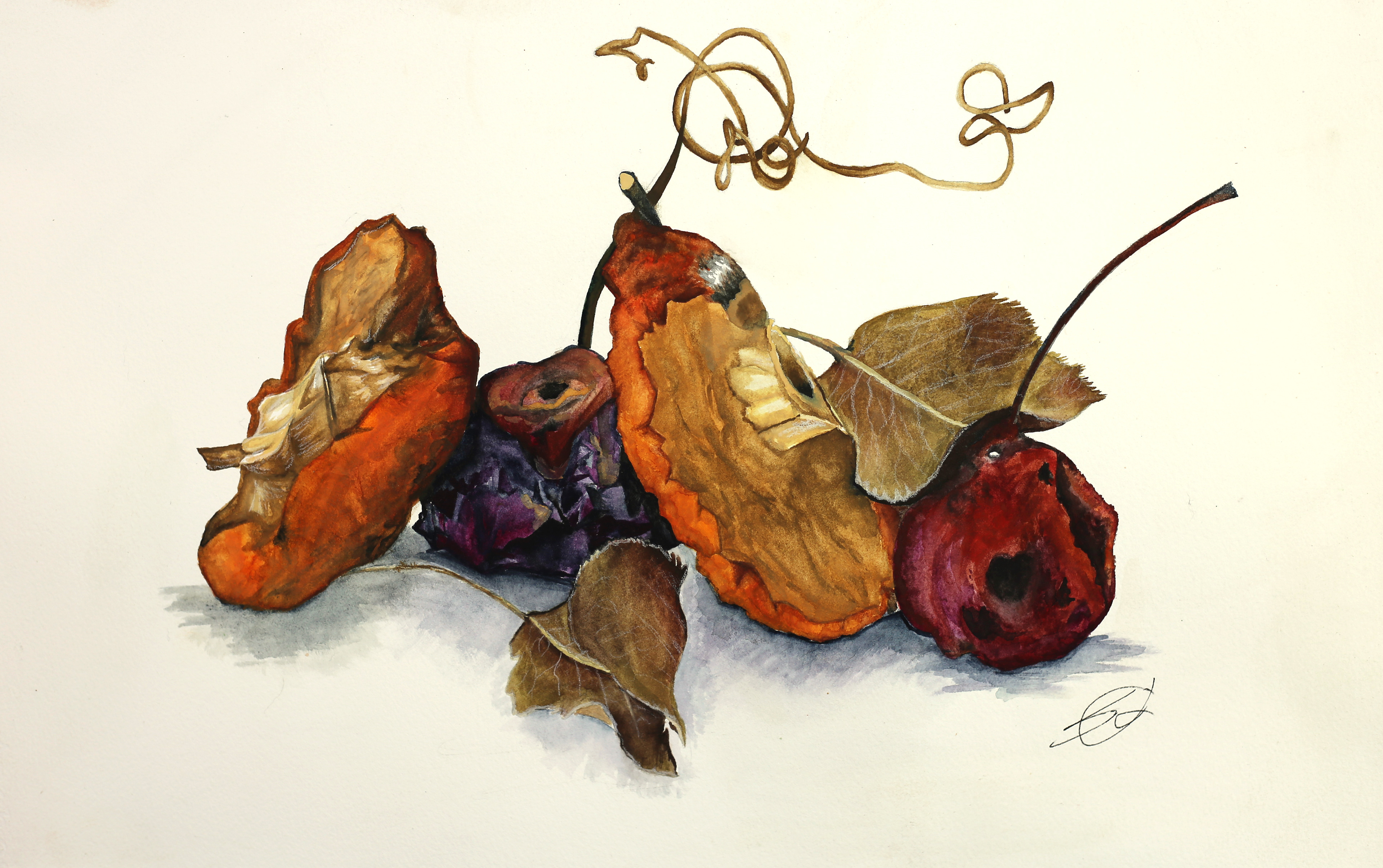 Dead Fruit- White colored pencil and Watercolor on Cold Press