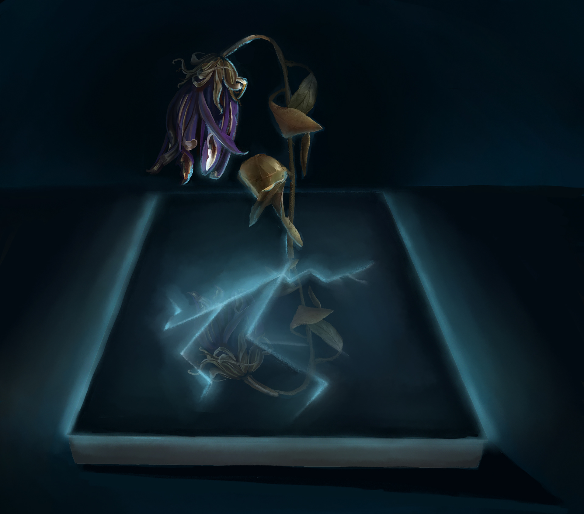 Plant Energy-Digital Painting