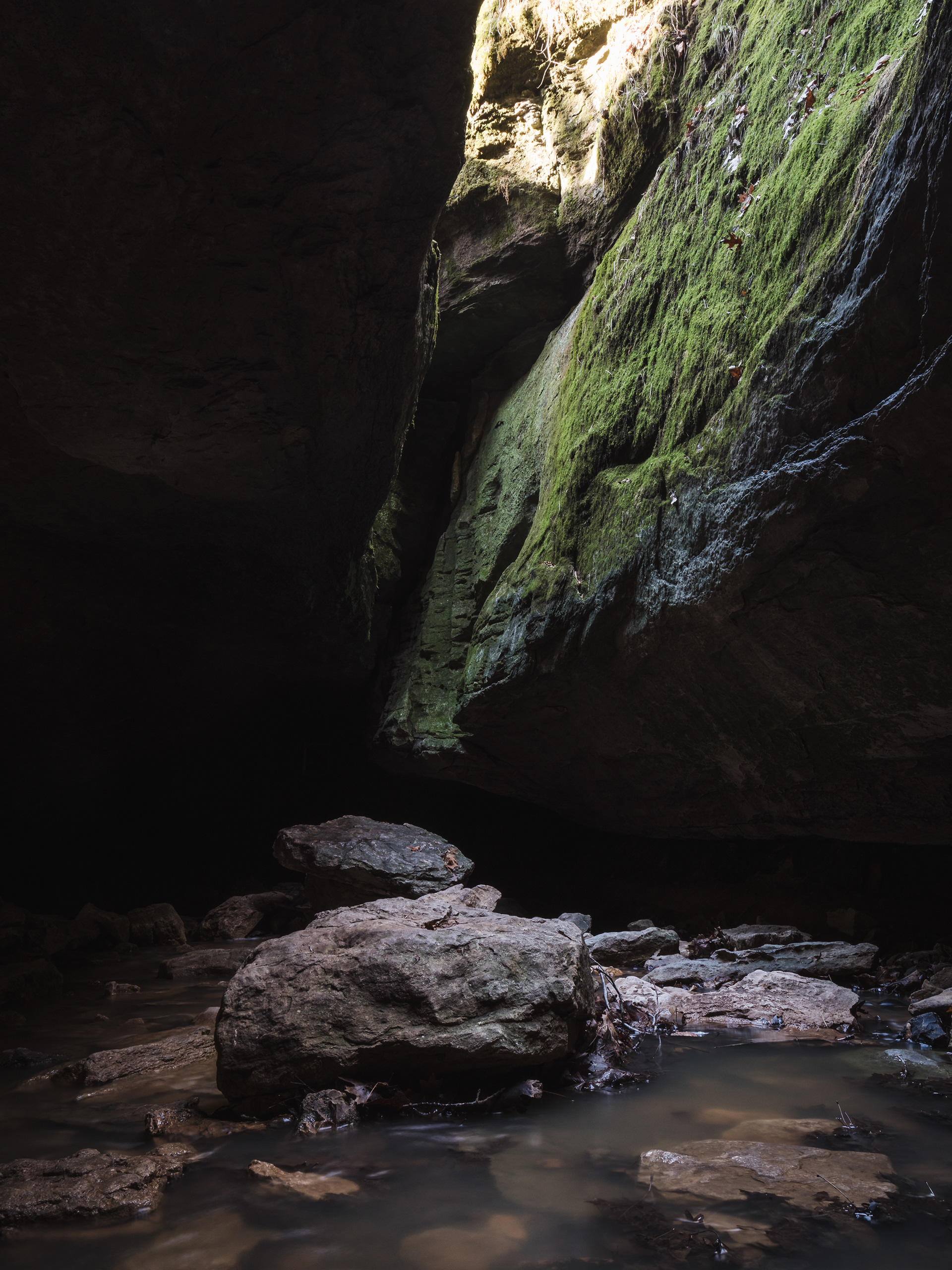 Rock Bridge Memorial State Park 1/2018