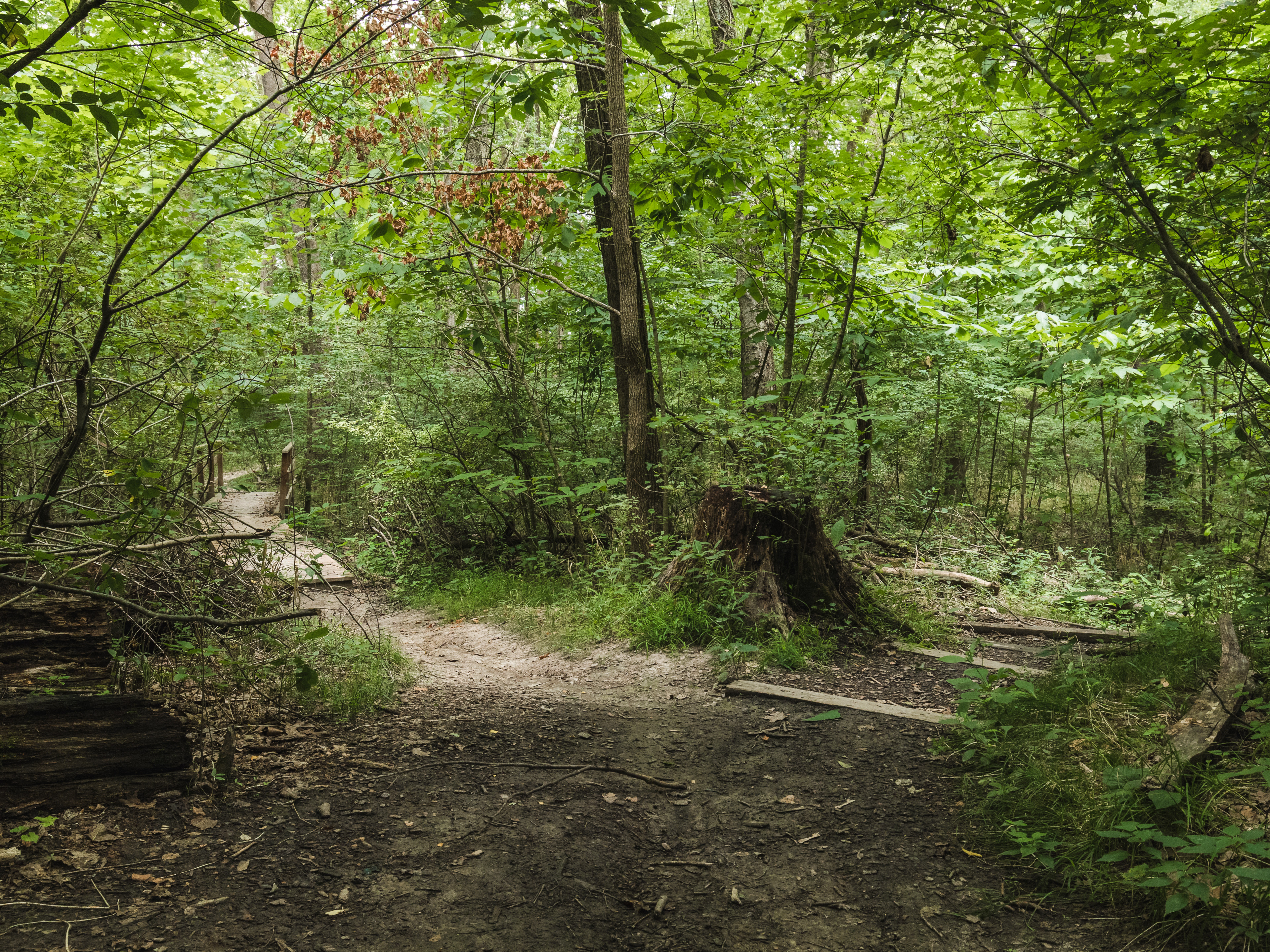 Robertsville State Park 8/2017