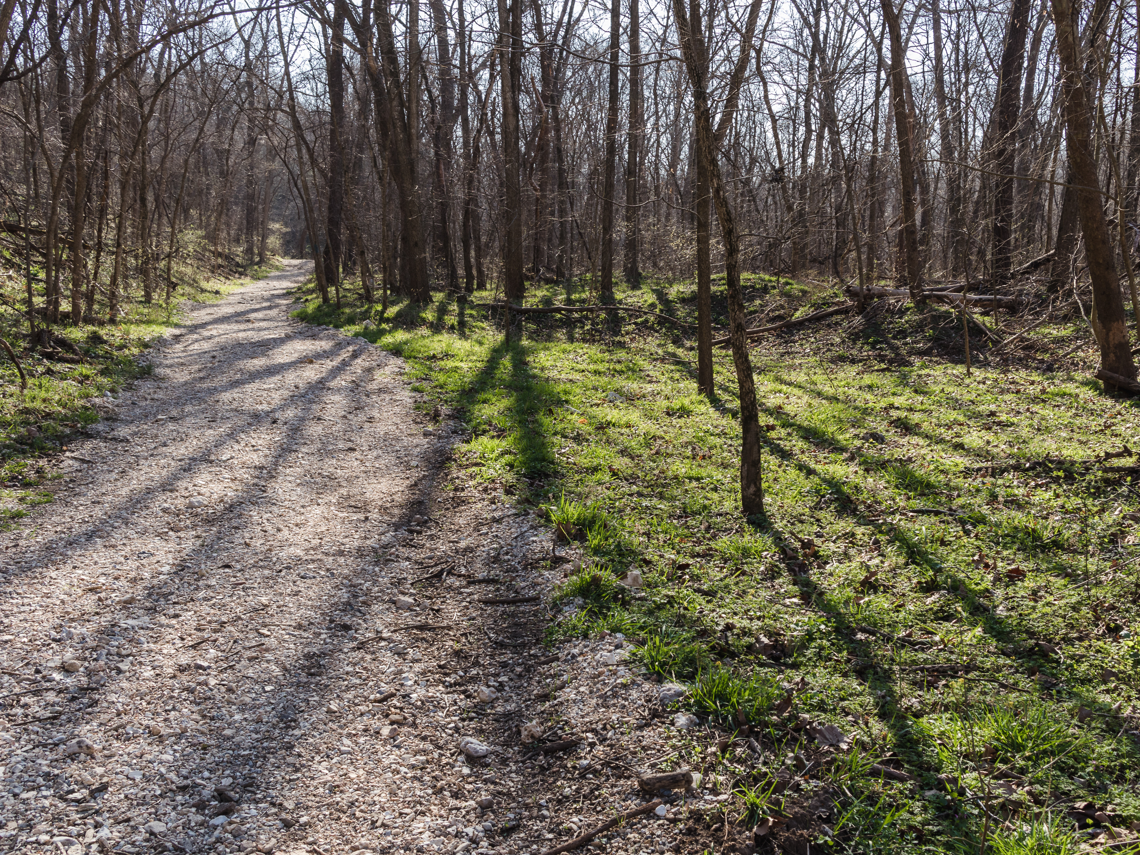 Bennet Spring State Park 3/2017