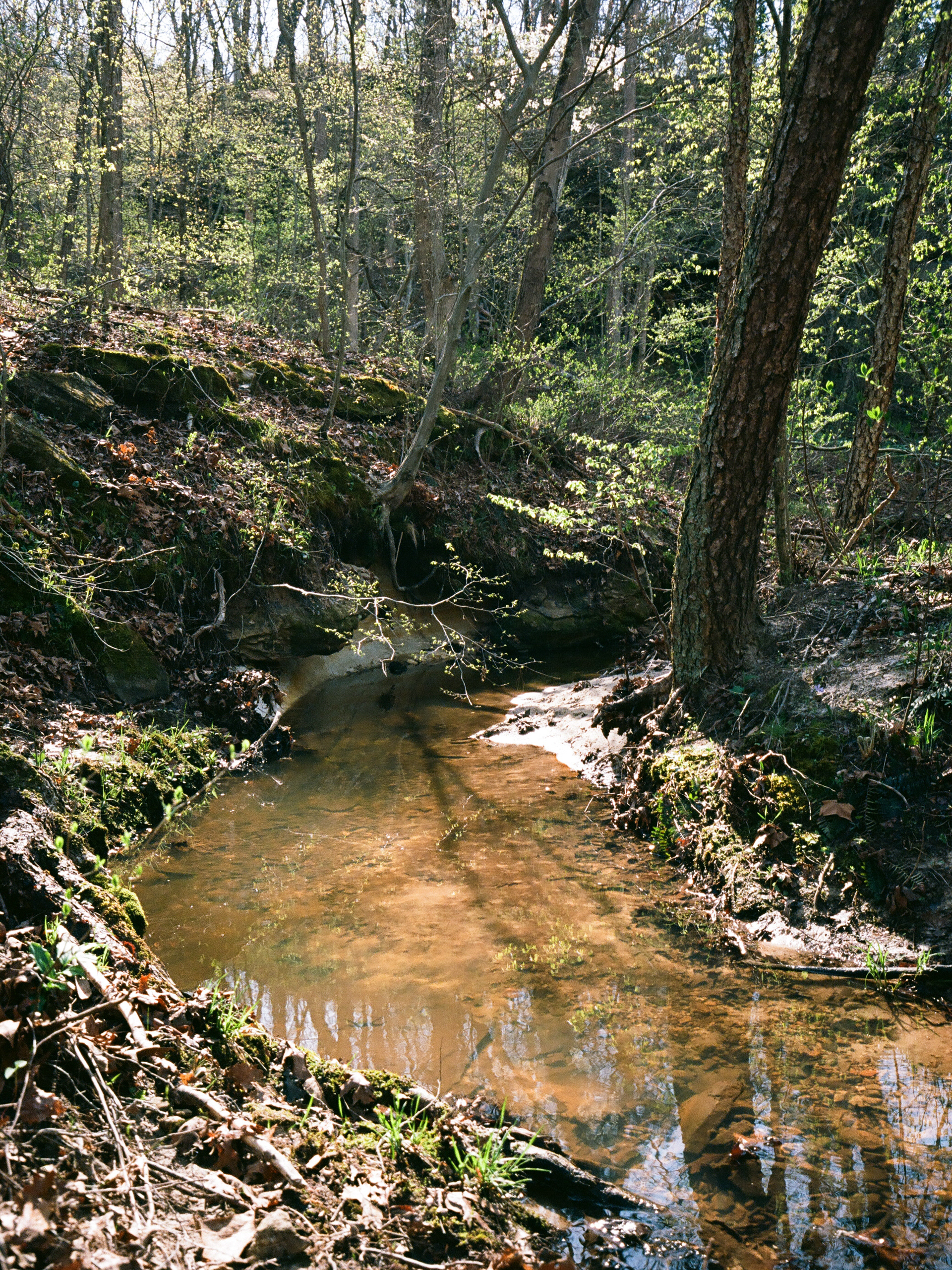Don Robinson State Park 3/2017