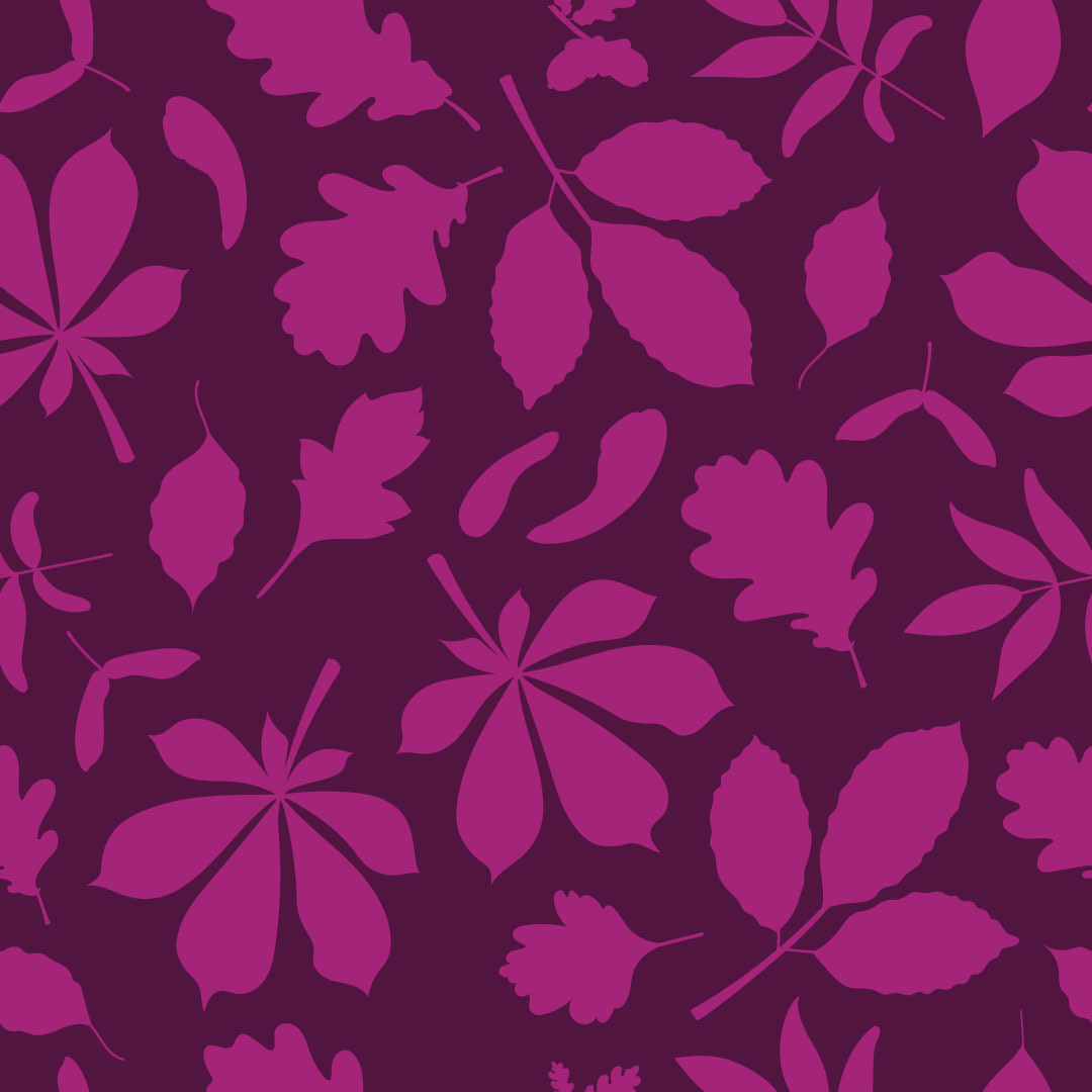 Autumn Leaves
