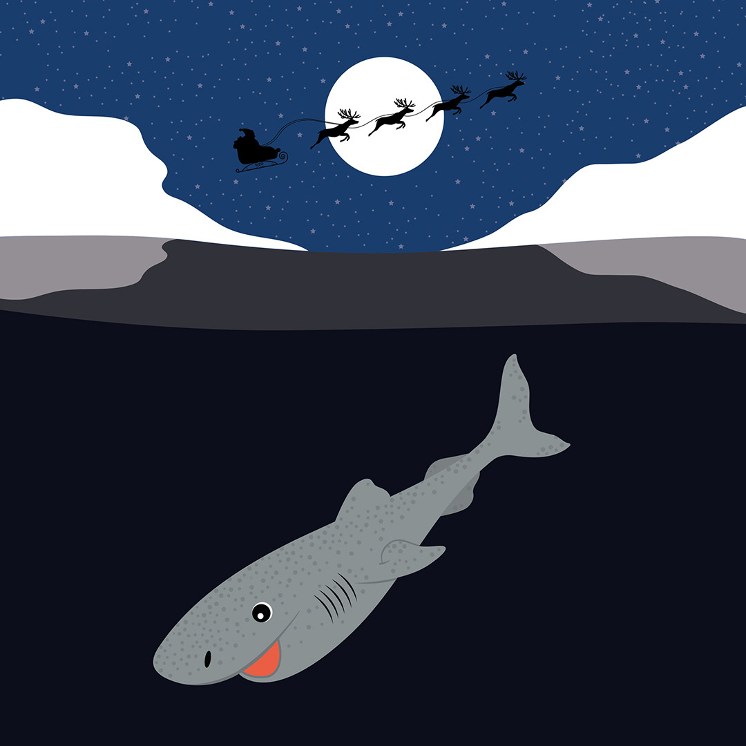 Greenland Shark & Santa