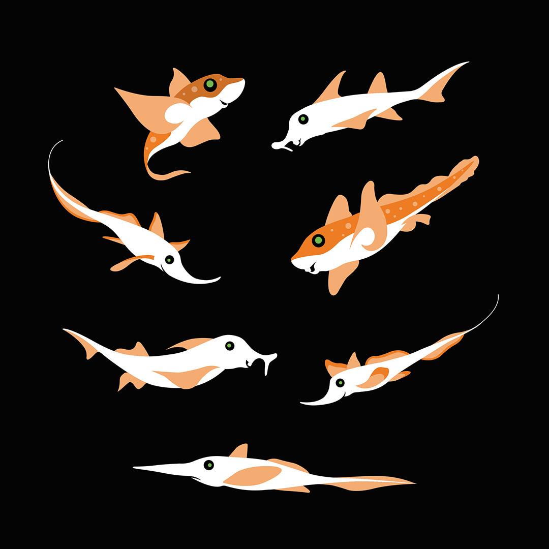 Deep-Sea Chimeara
