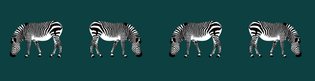 Zebra Pattern