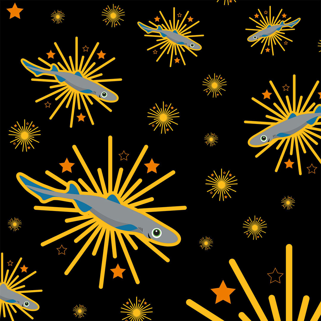 Glowing Lanternsharks