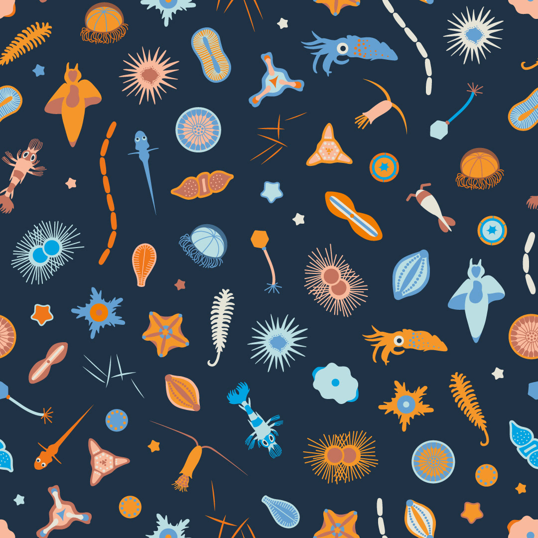 Marine Plankton Pattern