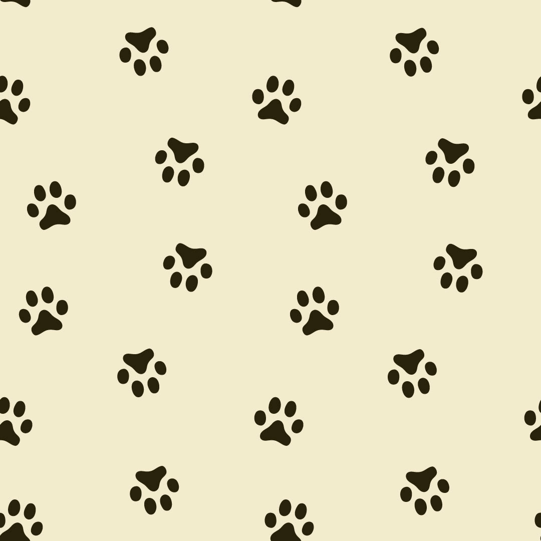 Muddy Paws