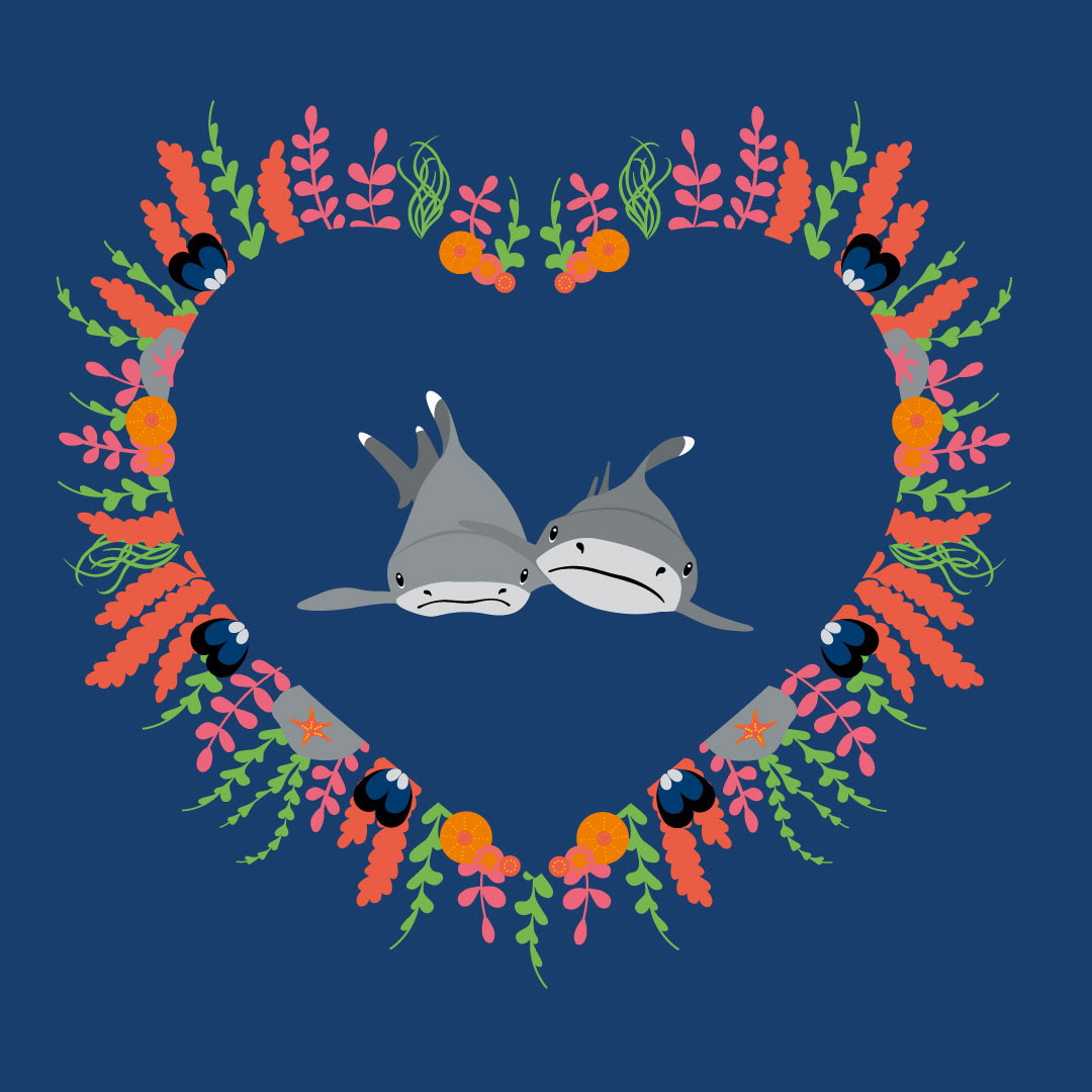 Cuddling Whitetip Reef Sharks