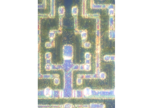Mitel