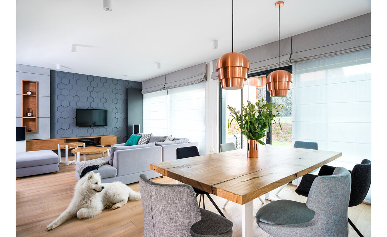 salon - sesja wnętrzarska dla architektów wnętrz
