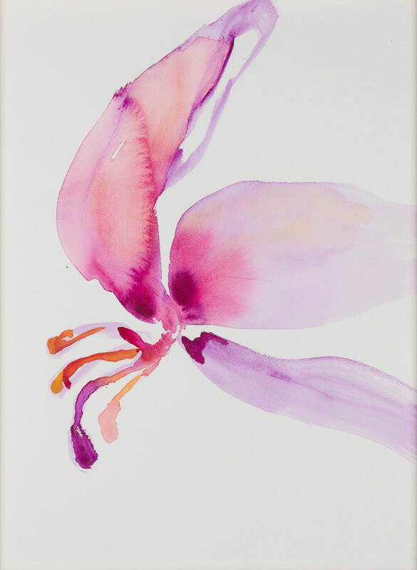 Grażyna Smalej “Różowy kwiat” / 2018, 40x30 cm, akwarela na papierze (w ramie)