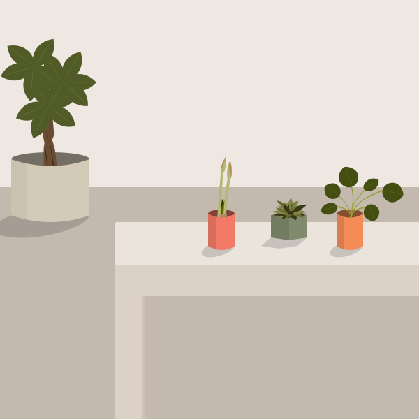 Pots, plants and shadows