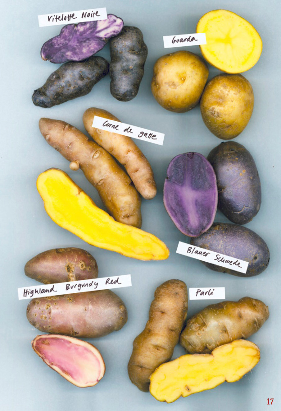 Text fürs UBS-Magazin