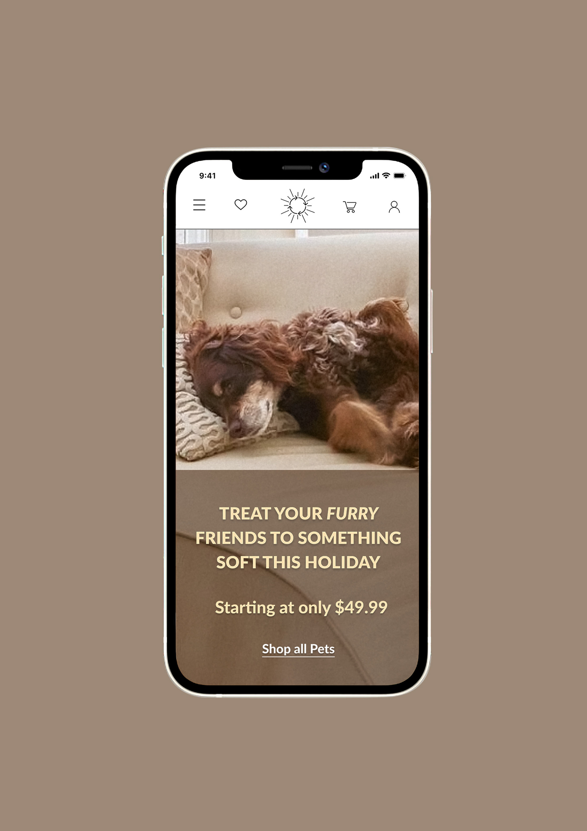 Mobile (Homepage)