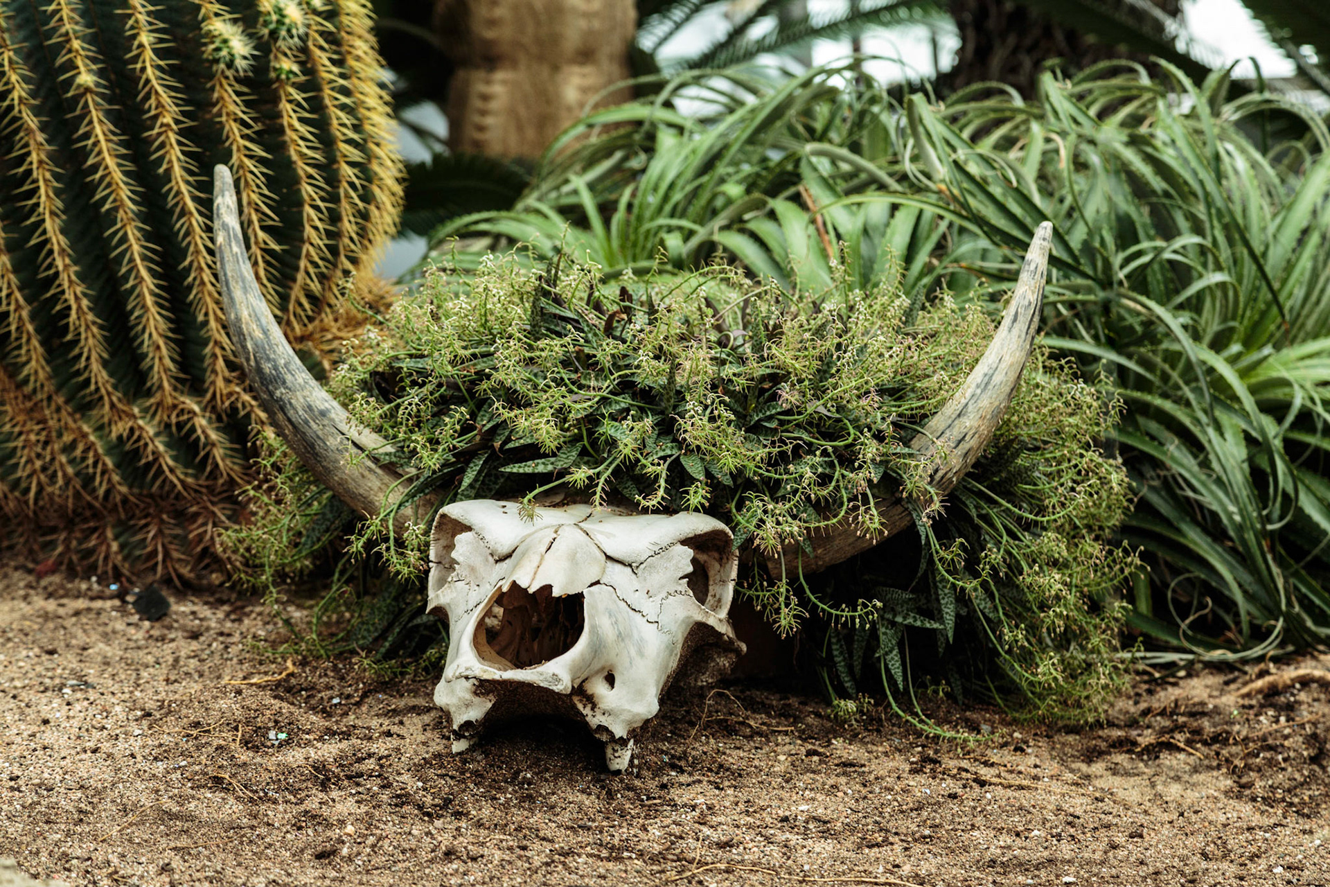 Long horn motif - Botanical Gardens, Montreal, Canada