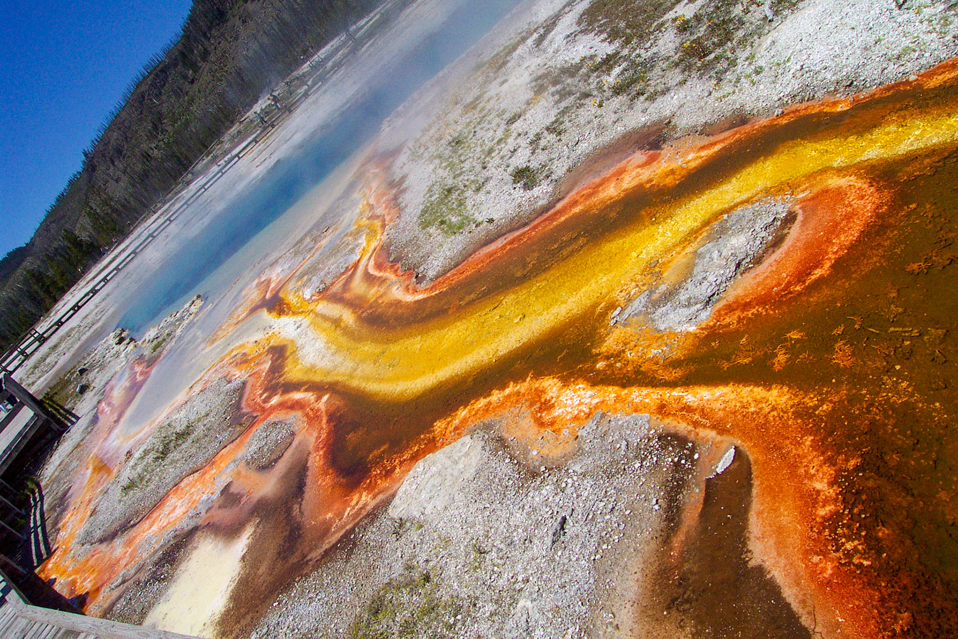 Algae and mineral deposits, hot springs runoff - Yellowstone National Park, Wyoming