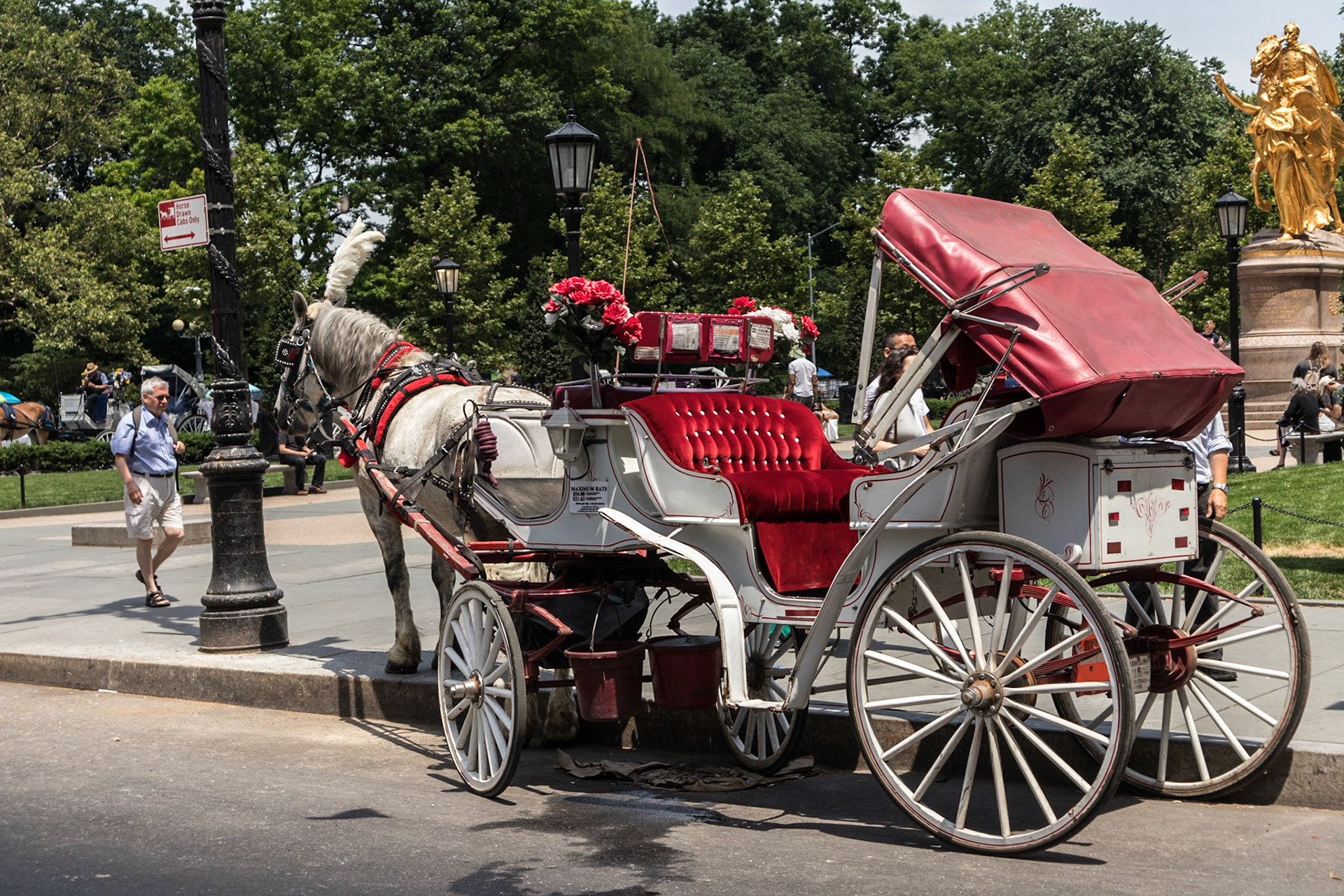 Horse and Carriage ride Central Park - New York, New York City