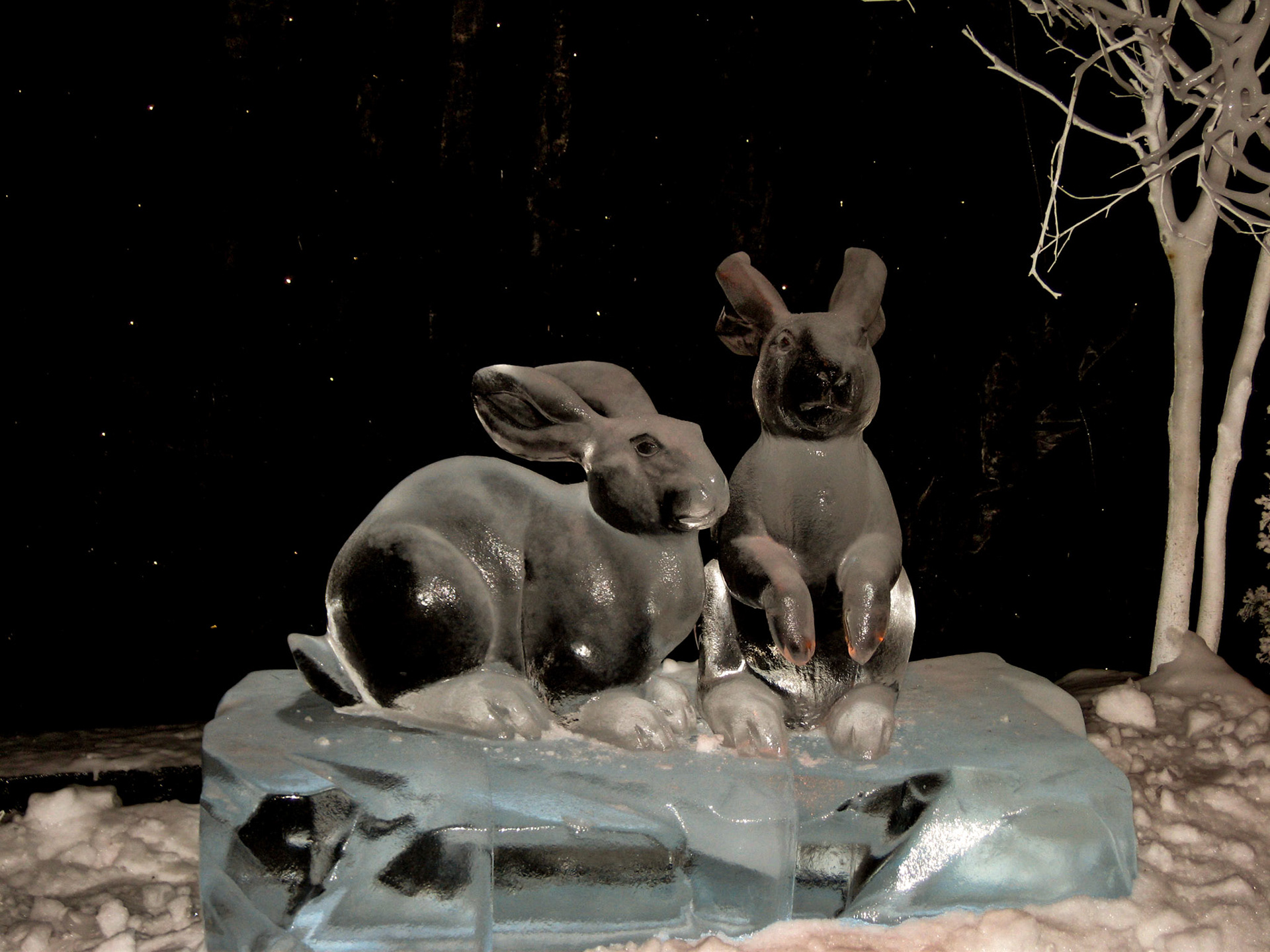 Snow bunnies - Ice! is an annual winter event featuring ice sculptures at Marriott's Gaylord Palms Resort in Kissimmee, Florida