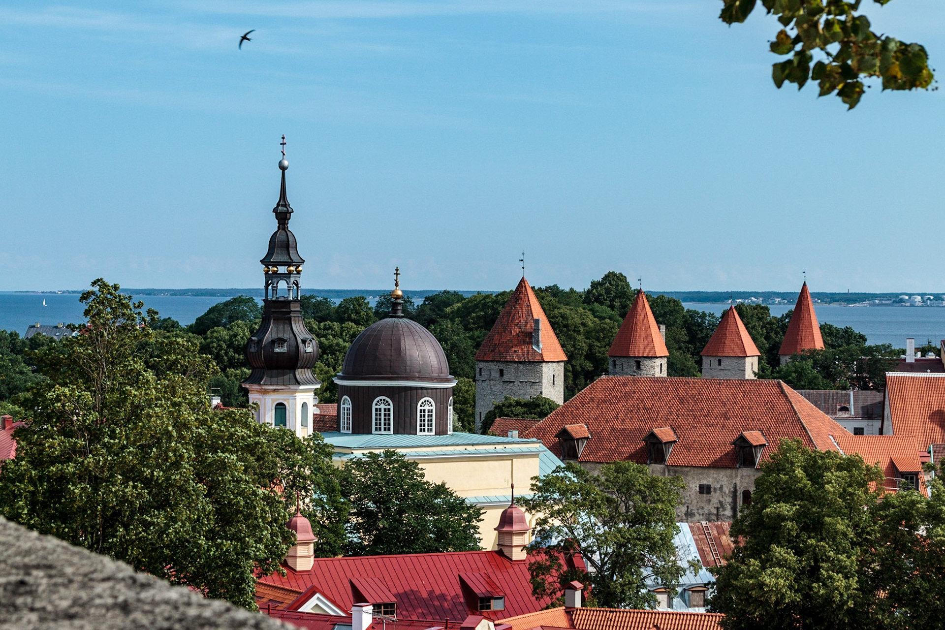 St. Mary's Cathedral - Tallin, Estonia