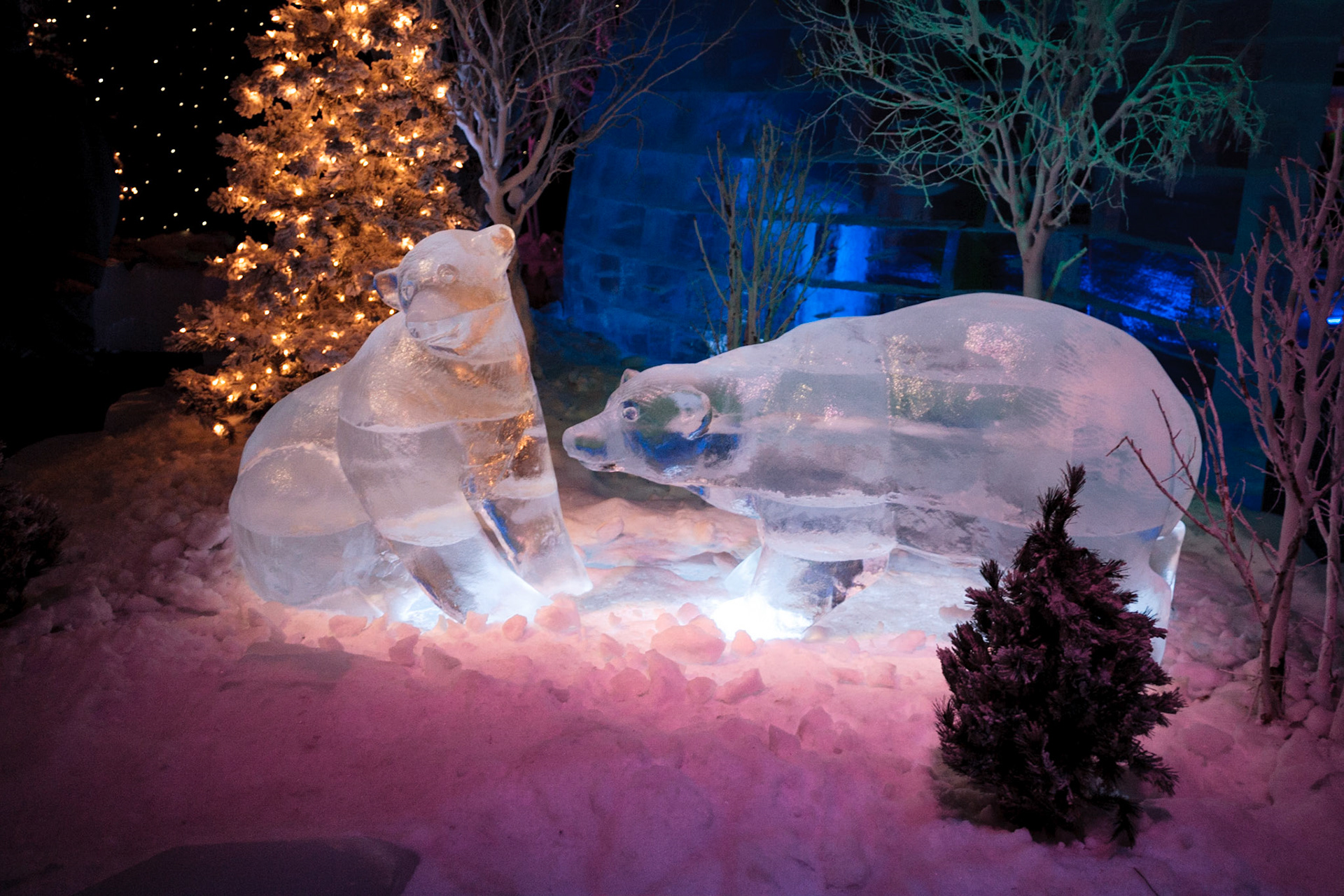 Polar bears - Ice! is an annual winter event featuring ice sculptures at Marriott's Gaylord Palms Resort in Kissimmee, Florida