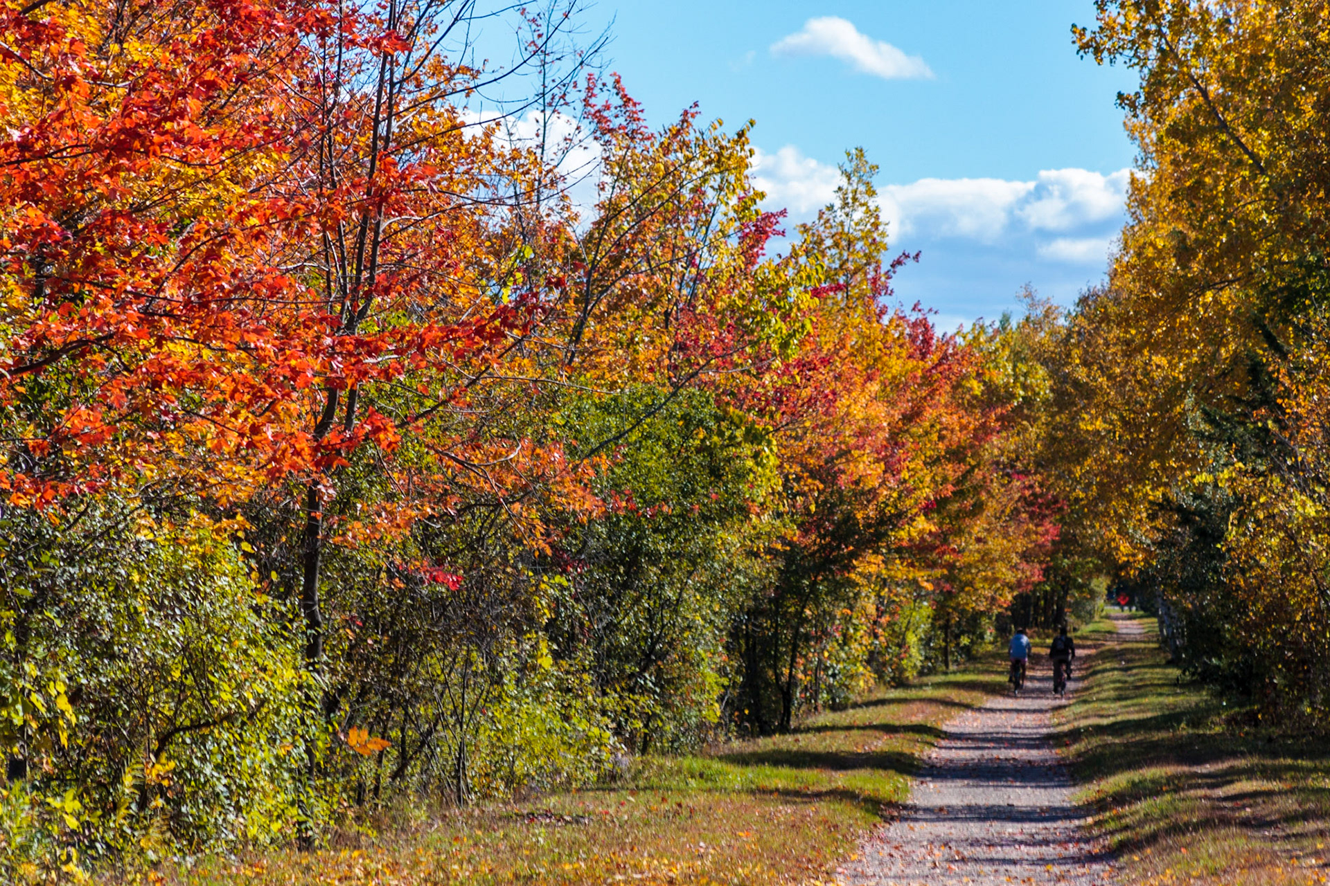 Fall Foliage on Colchester Causeway trail - Colchester VT
