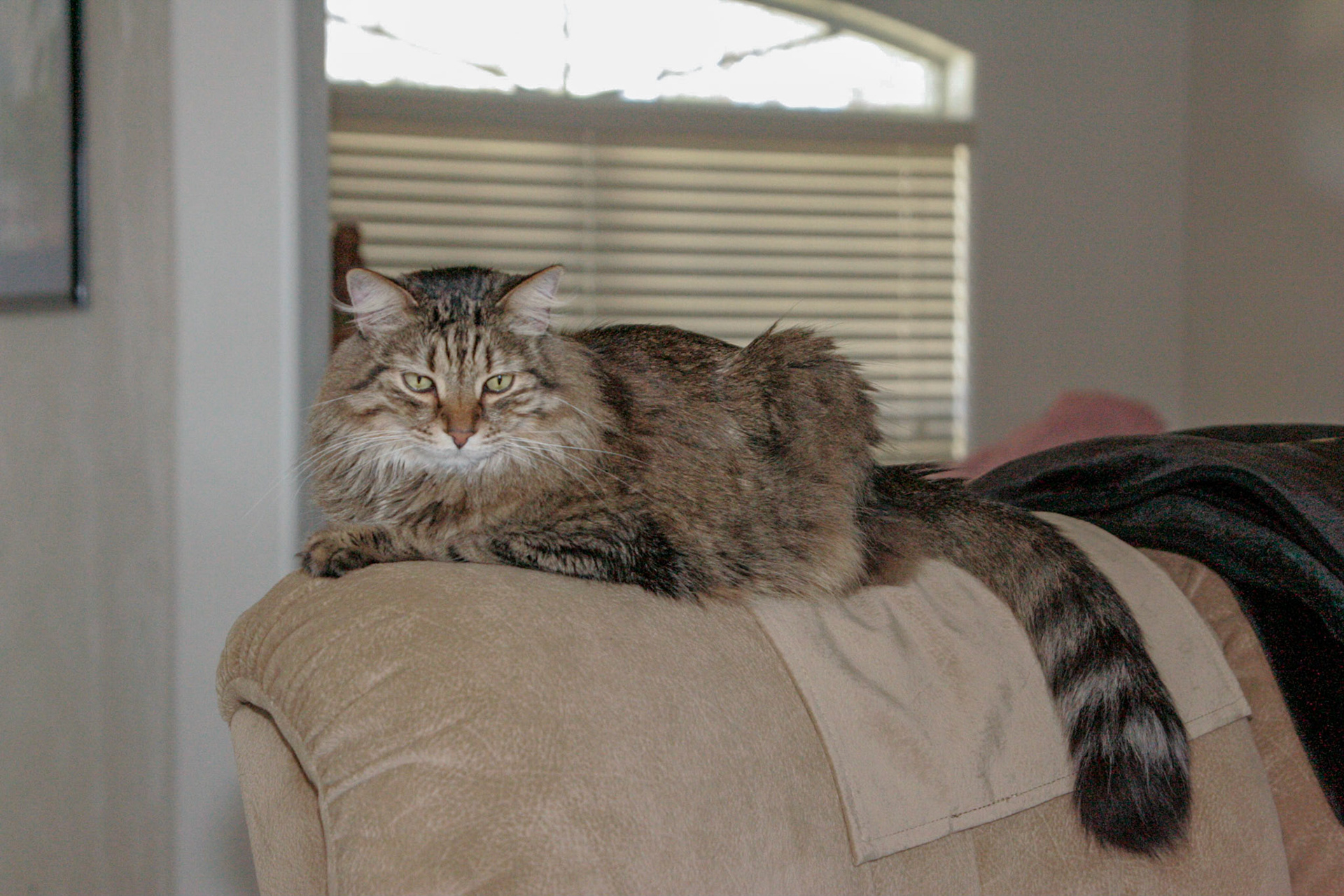 Leo - Interlachen, FL