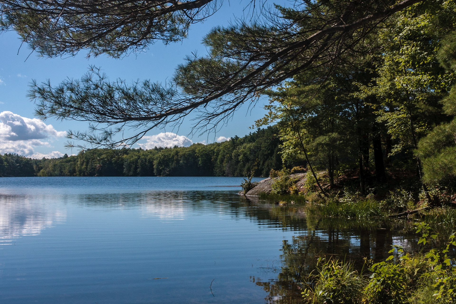 Serene lake view somewhere in Vermont