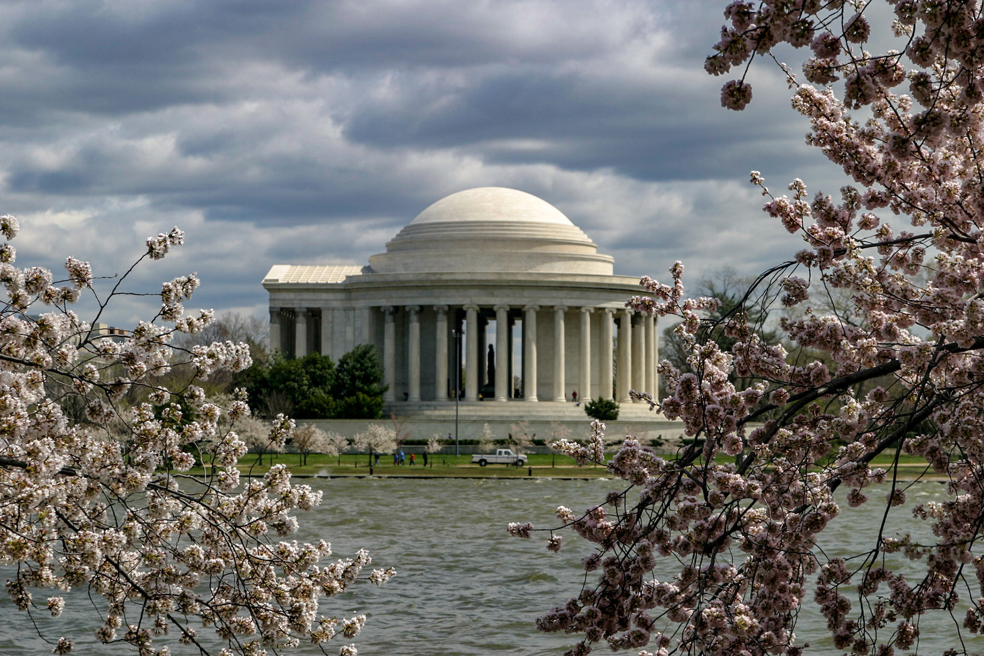 Cherry blossoms around the Tidal Basin, Jefferson Memorial in background - Washington, DC