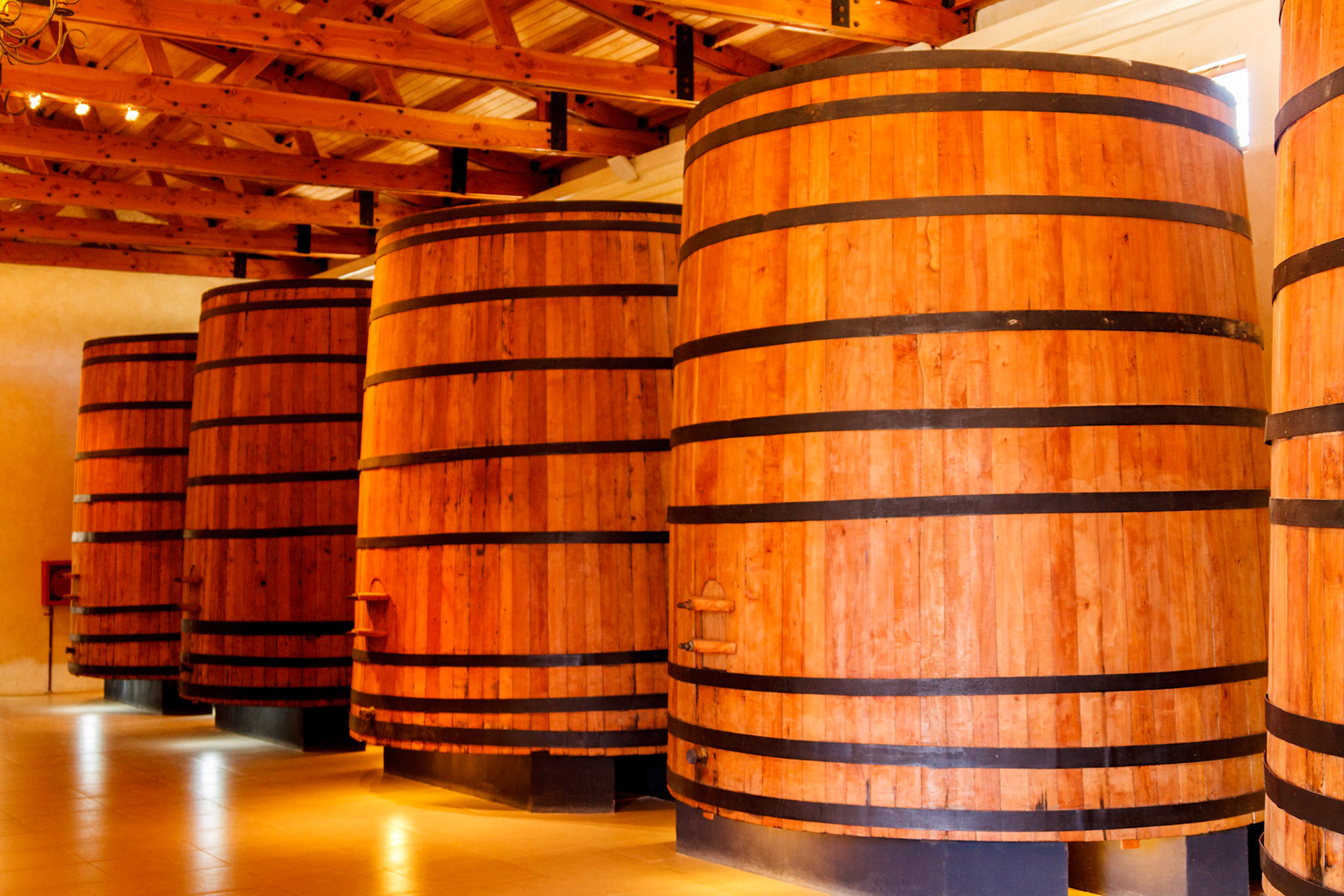 Wine vats - Valparaiso, Chile