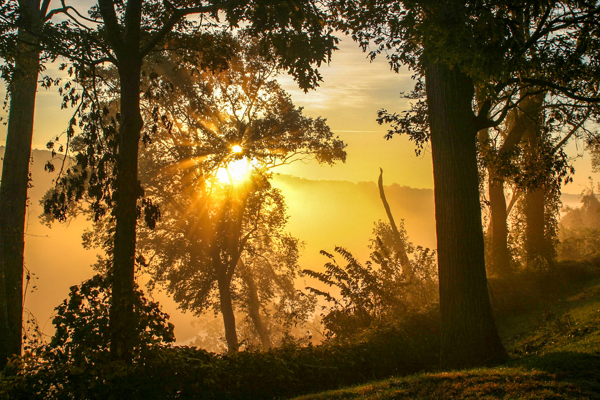 Foggy morning - Great Falls, Potomac River, Virginia