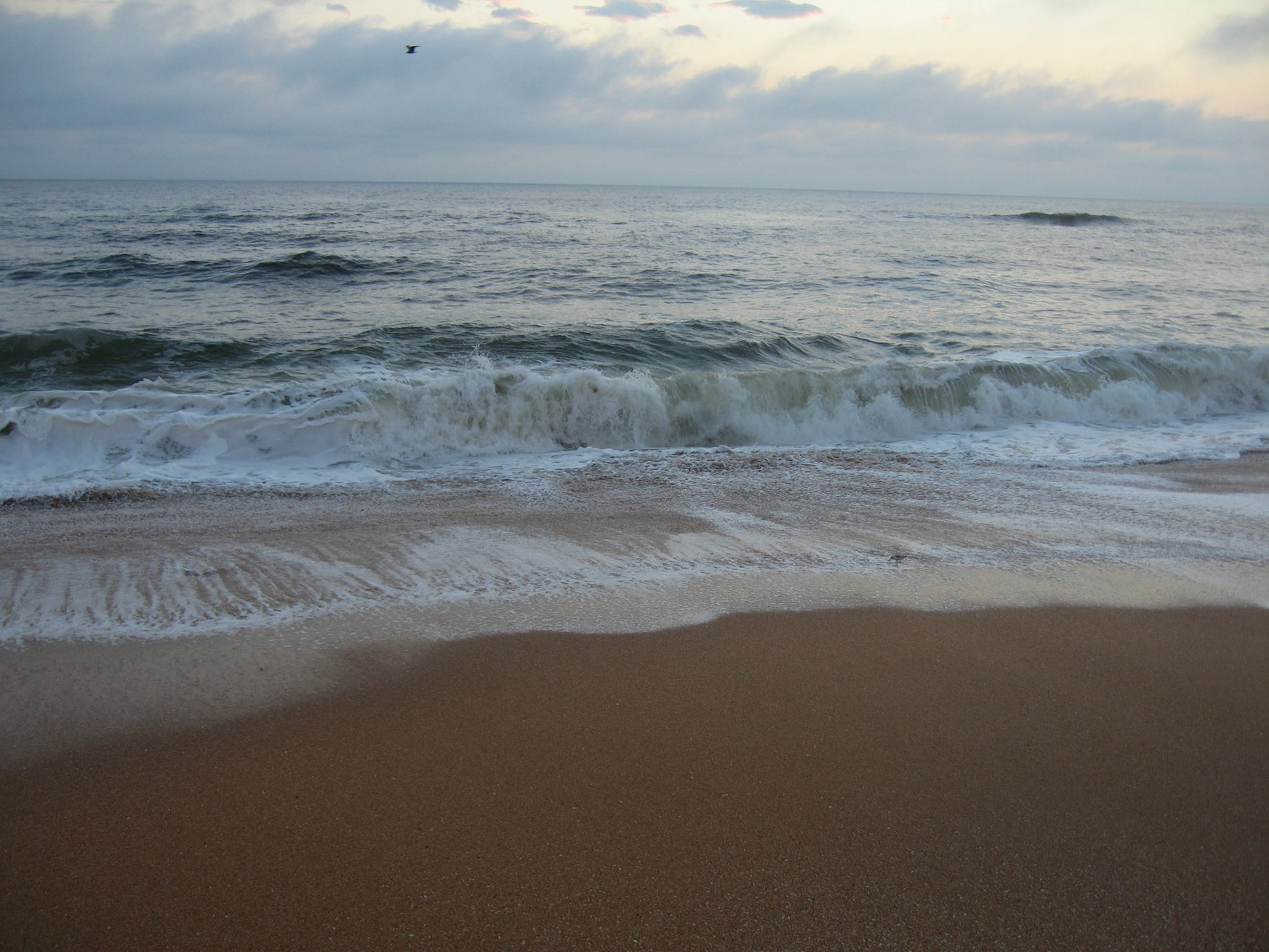 Ocean waves - Flagler Beach, Florida