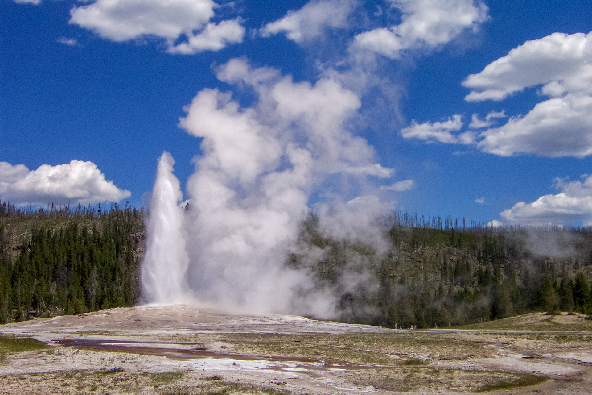 Old Faithful geyser - Yellowstone National Park, Wyoming