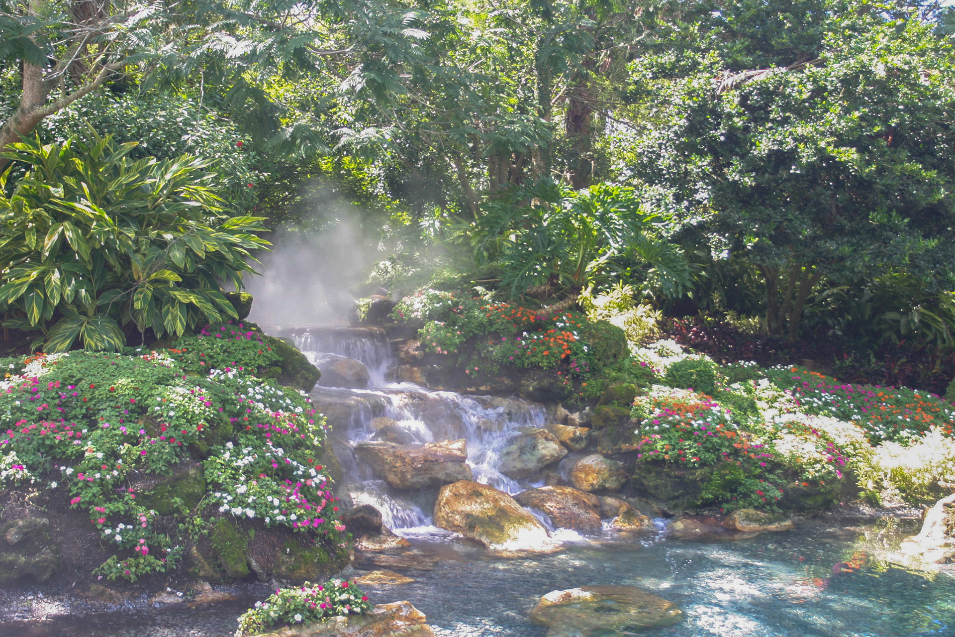 Photo Op background - Seaworld, Orlando, Florida