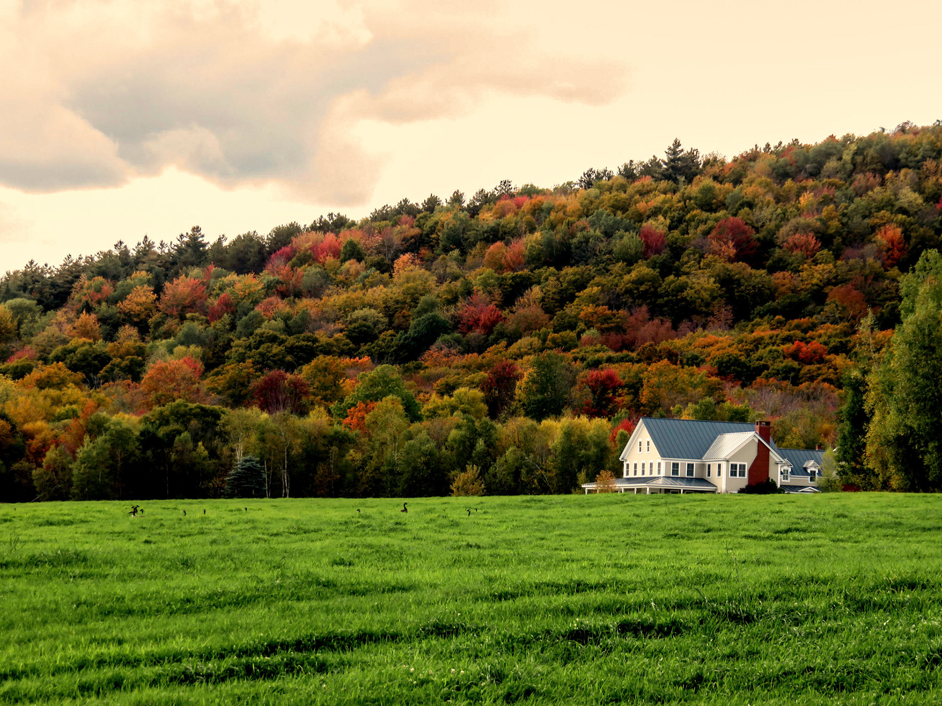 Fall Folliage - Stage Coach Rd, Stowe VT