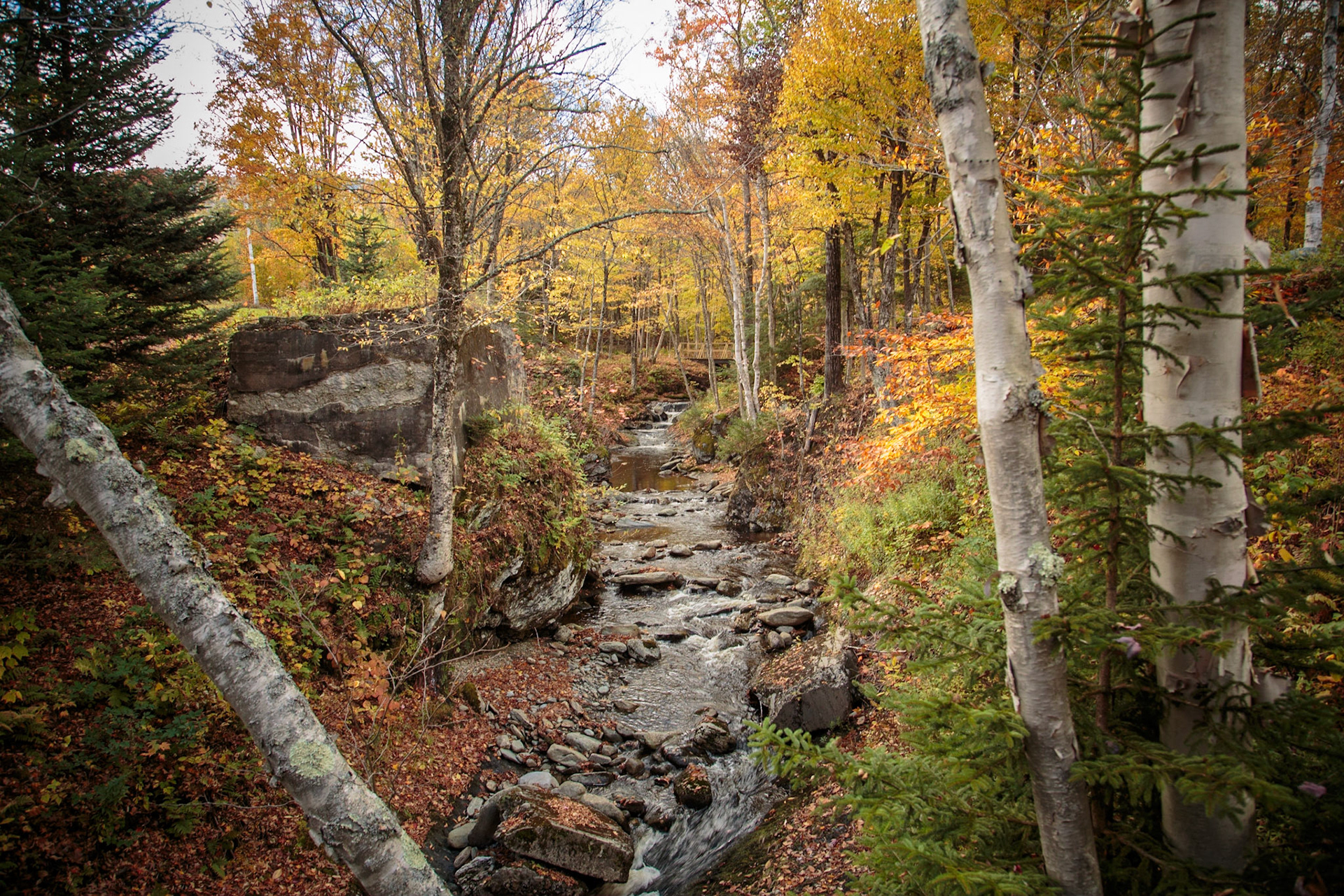 Sterling Brook Gorge, Stowe VT