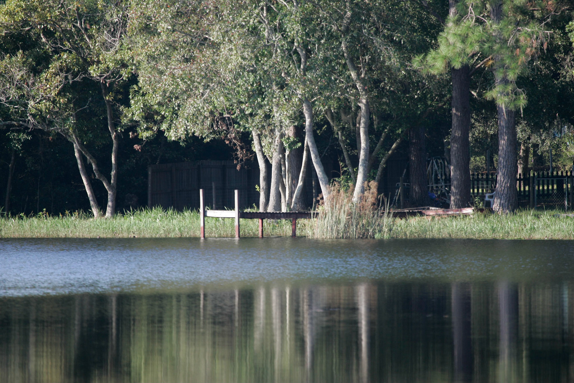 Across home lake - Interlachen, FL