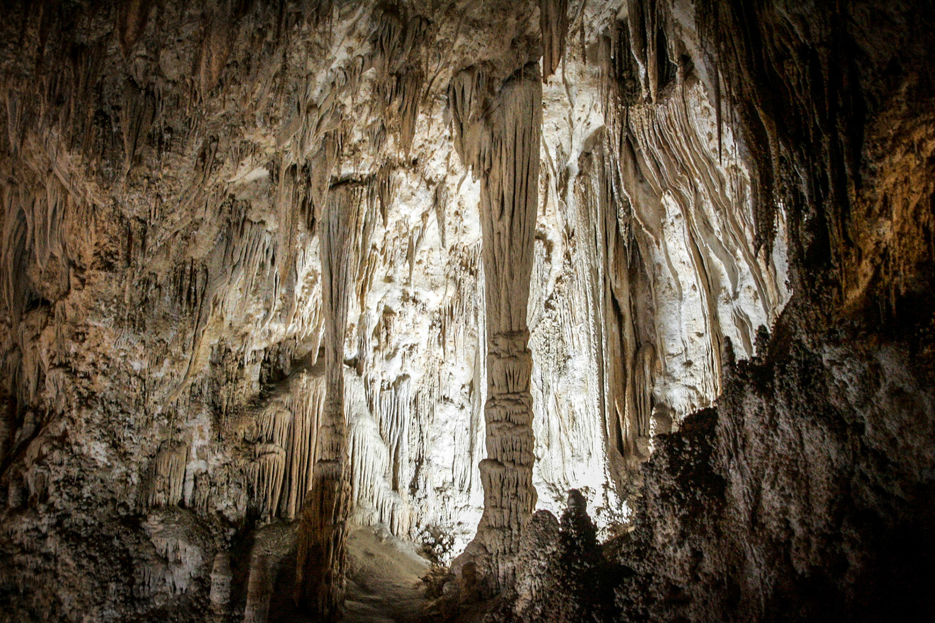 Inside Carlsbad Caverns - Carlsbad, NM