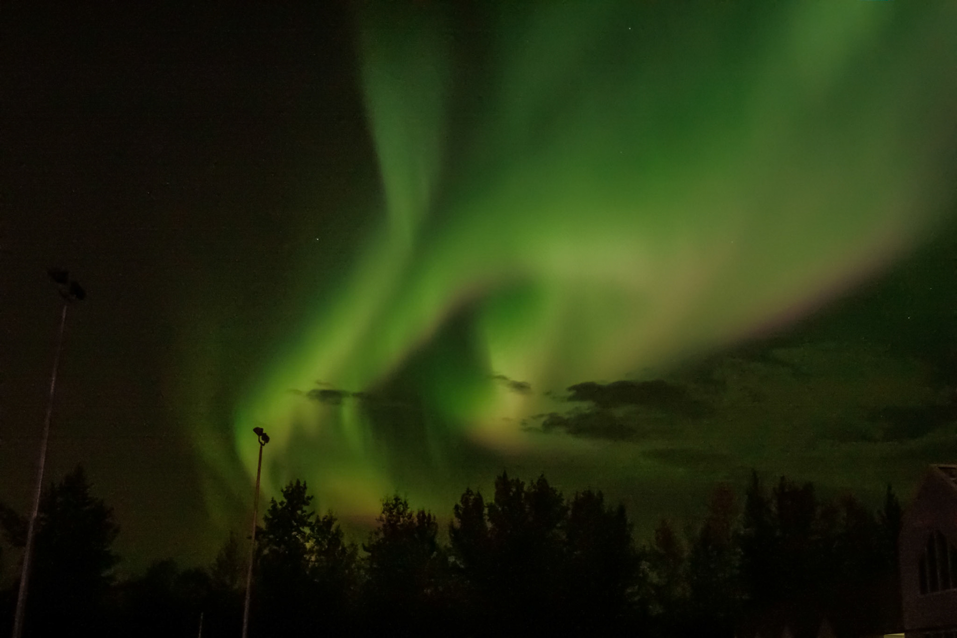 Northern Lights, hotel woke us up in middle of the night to see - Fairbanks, Alaska