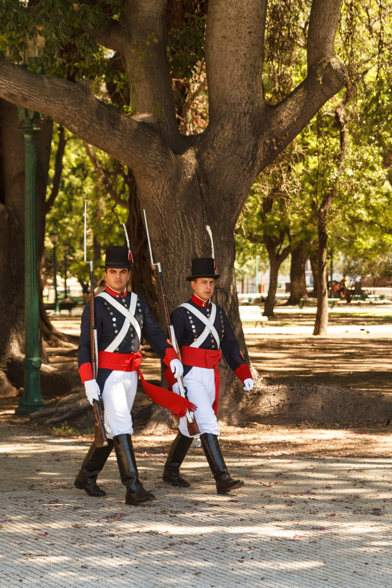 Ceremonial Guards - Buenos AIres, Argentina